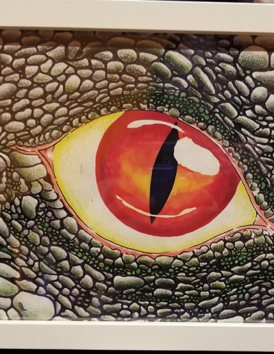 Eye of the Gator