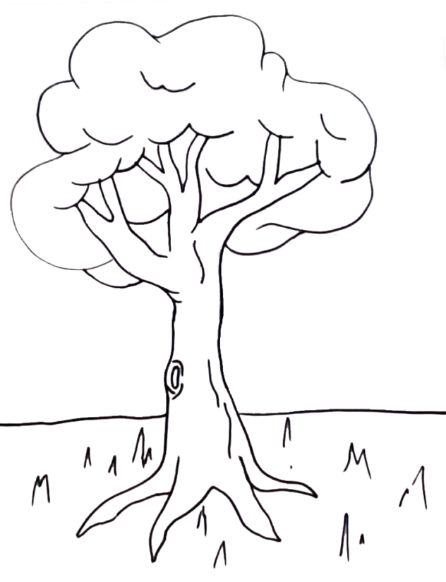 Plants - Tree - Easy