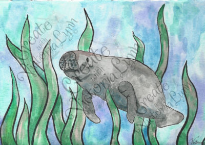 Manatee