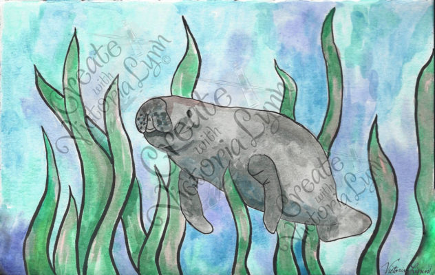 Manatee