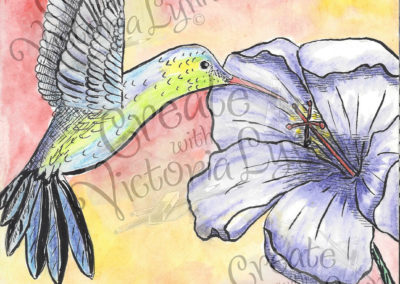 Hummingbird