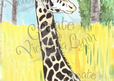 Giraffe