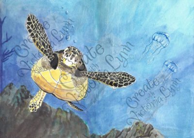 Sea Turtle