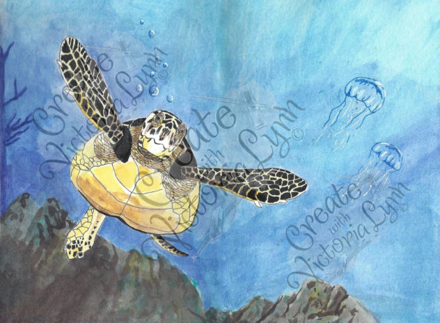Sea Turtle