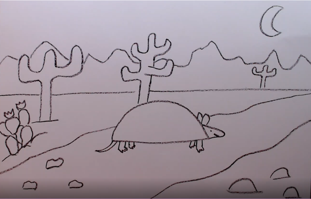 Contour drawing of an armadillo in the desert