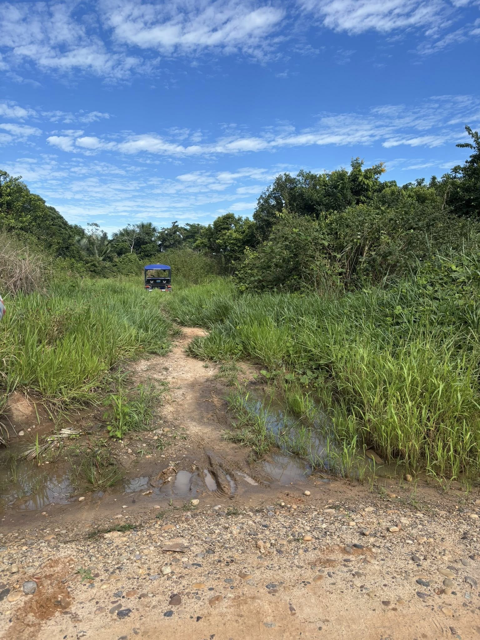 A path leading to our next visit. Time to walk.