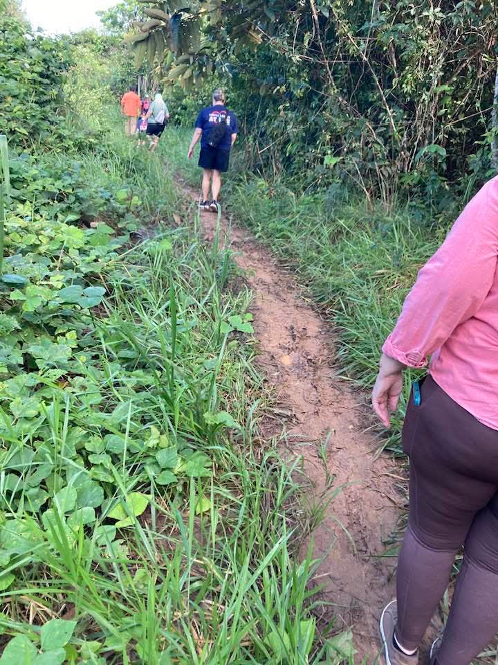 Continuing walking down path into the jungle.