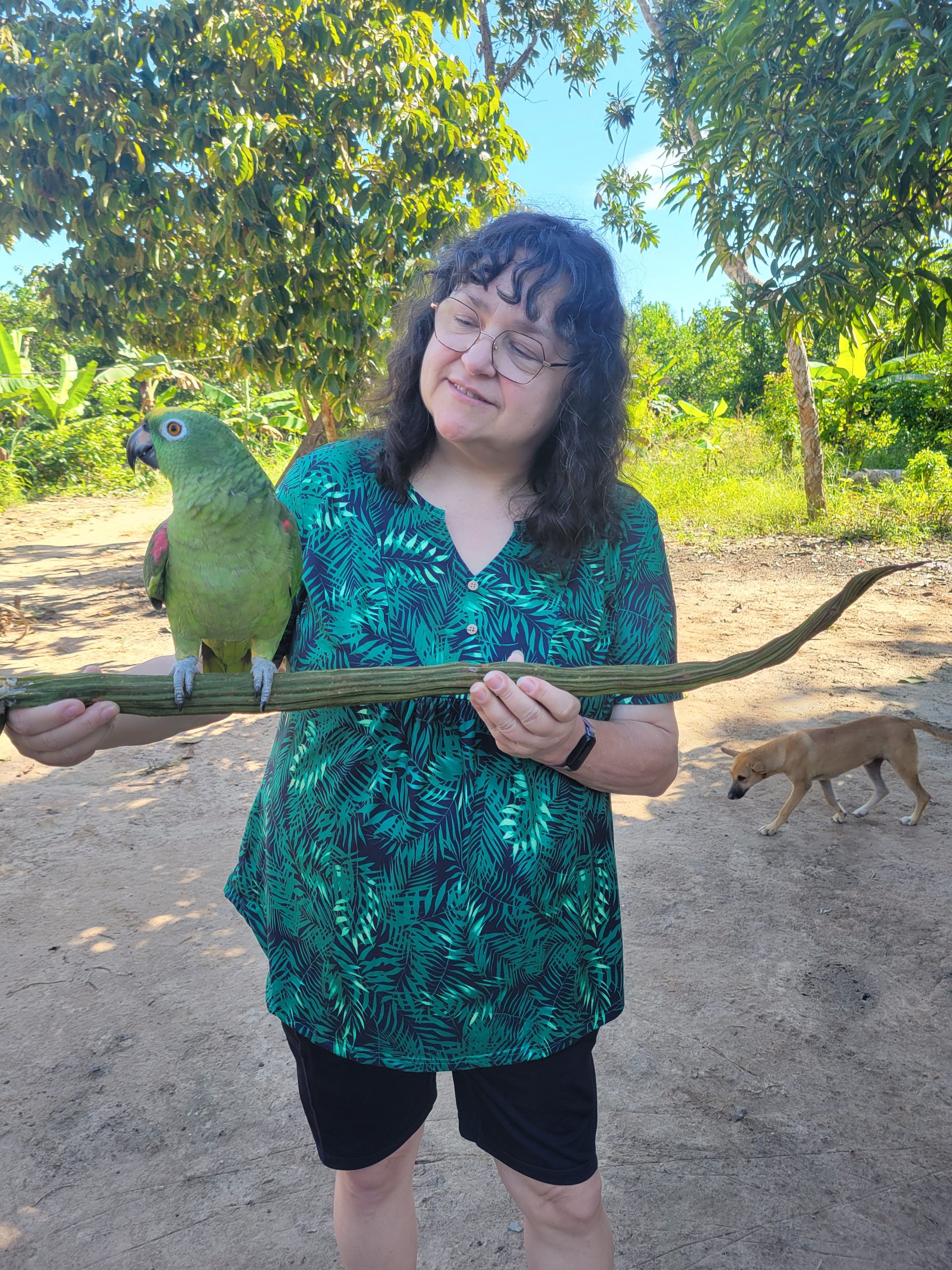 I'm holding a piece of guava that the parrot is sitting as I greet him.