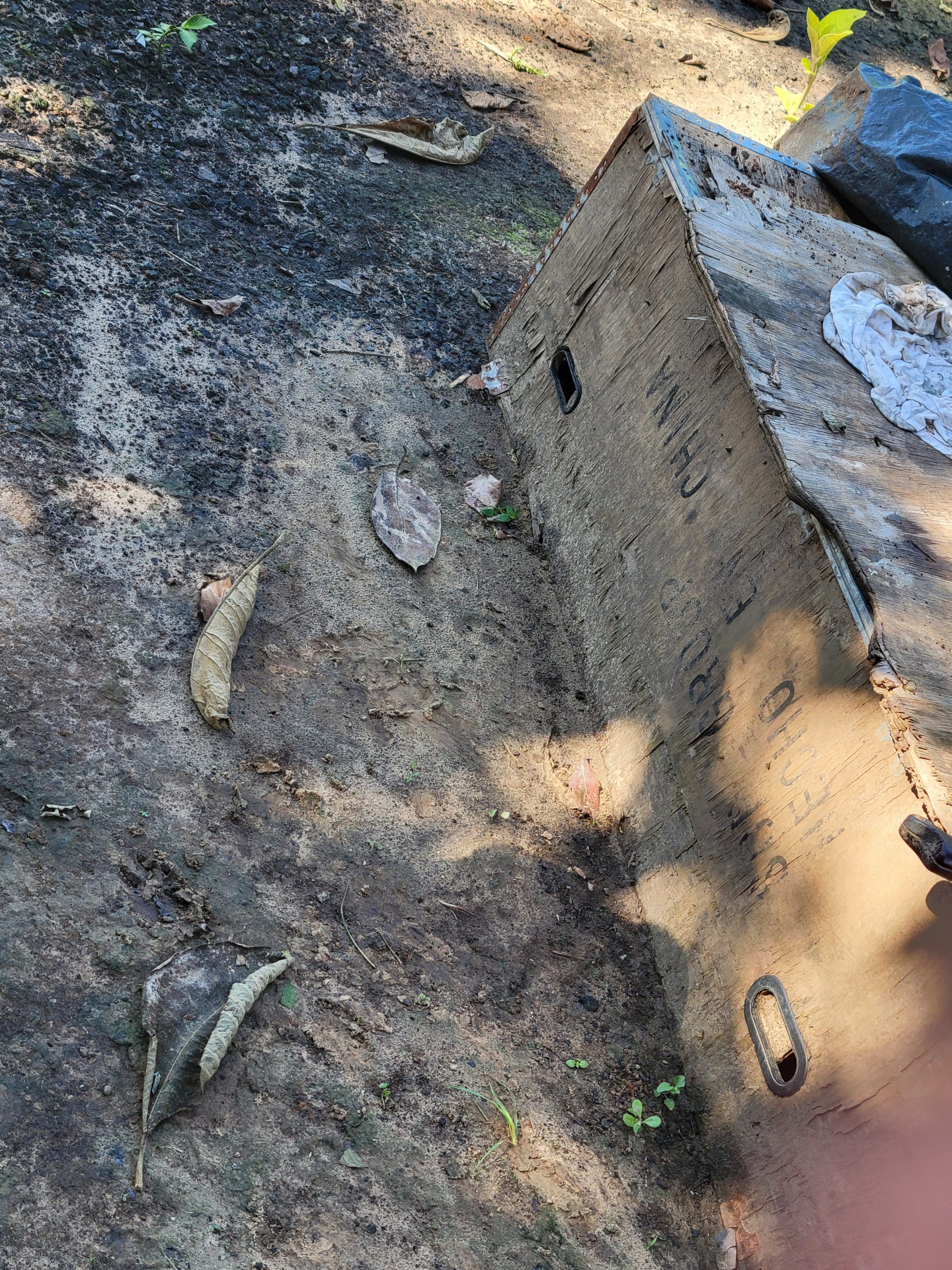 A shipping container from China in the Amazon Jungle?