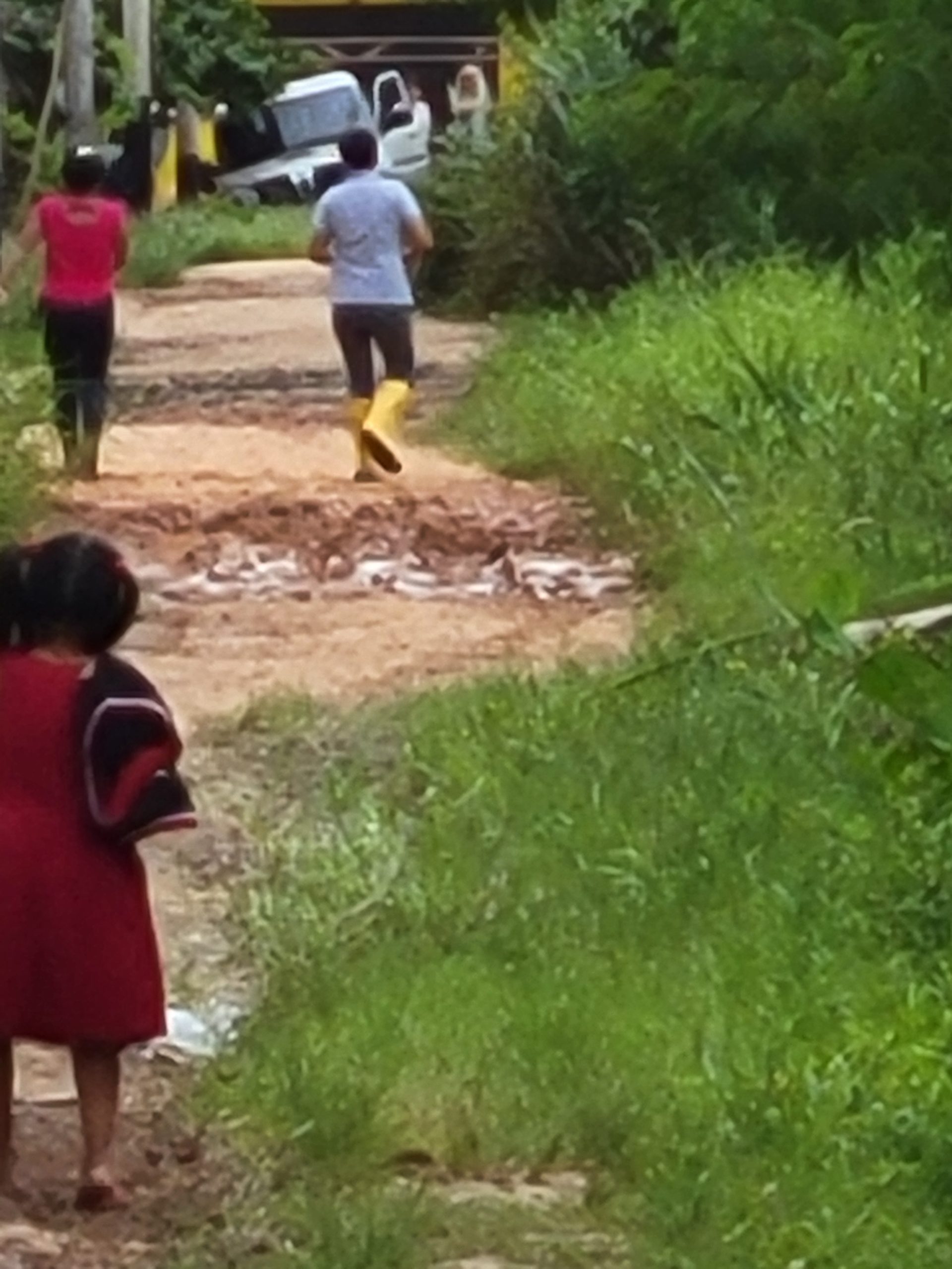 That does not look good.<br />
Truck looks stuck.