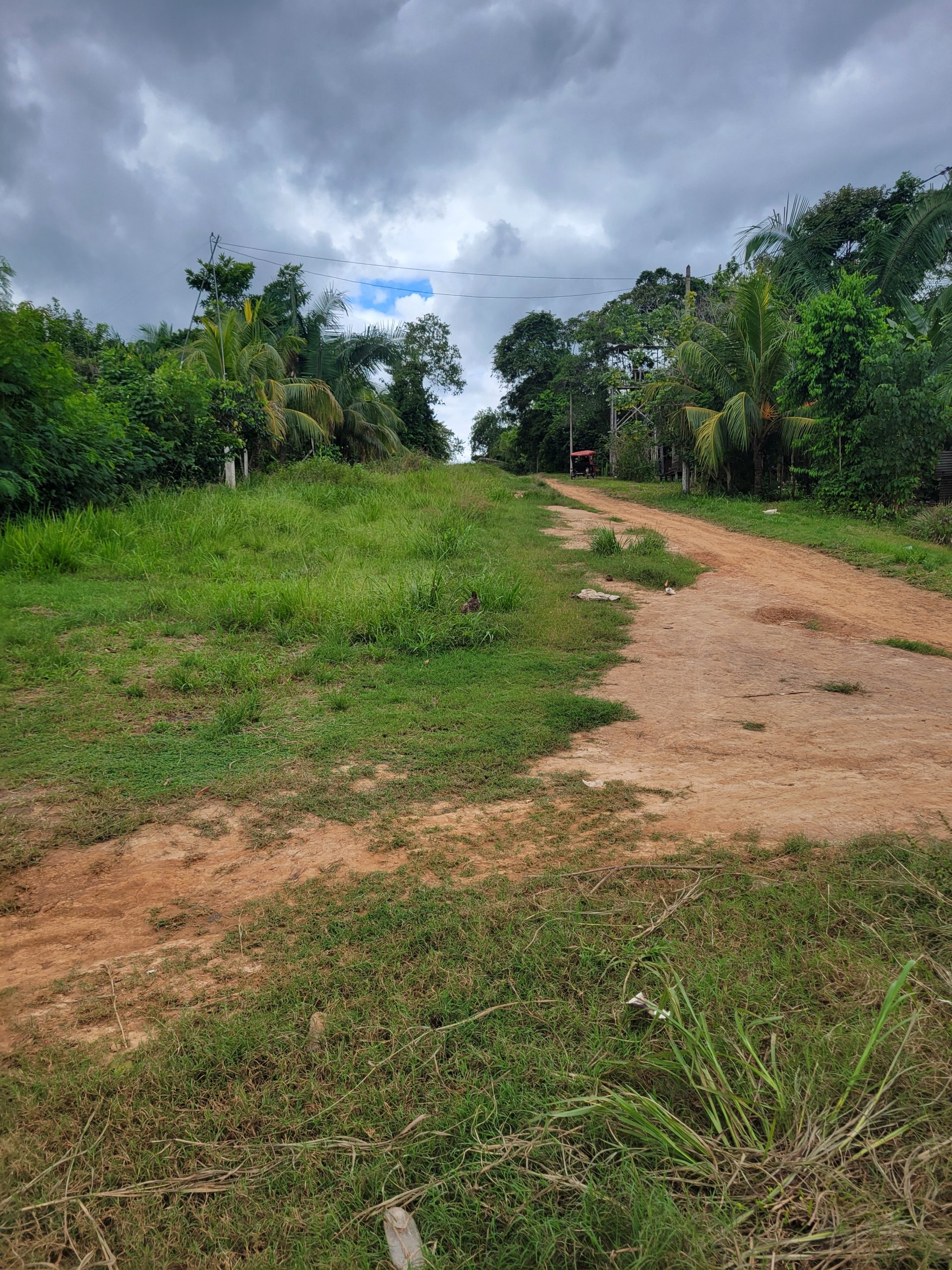 Jungle scenery as we walked to the next couple of visits. 