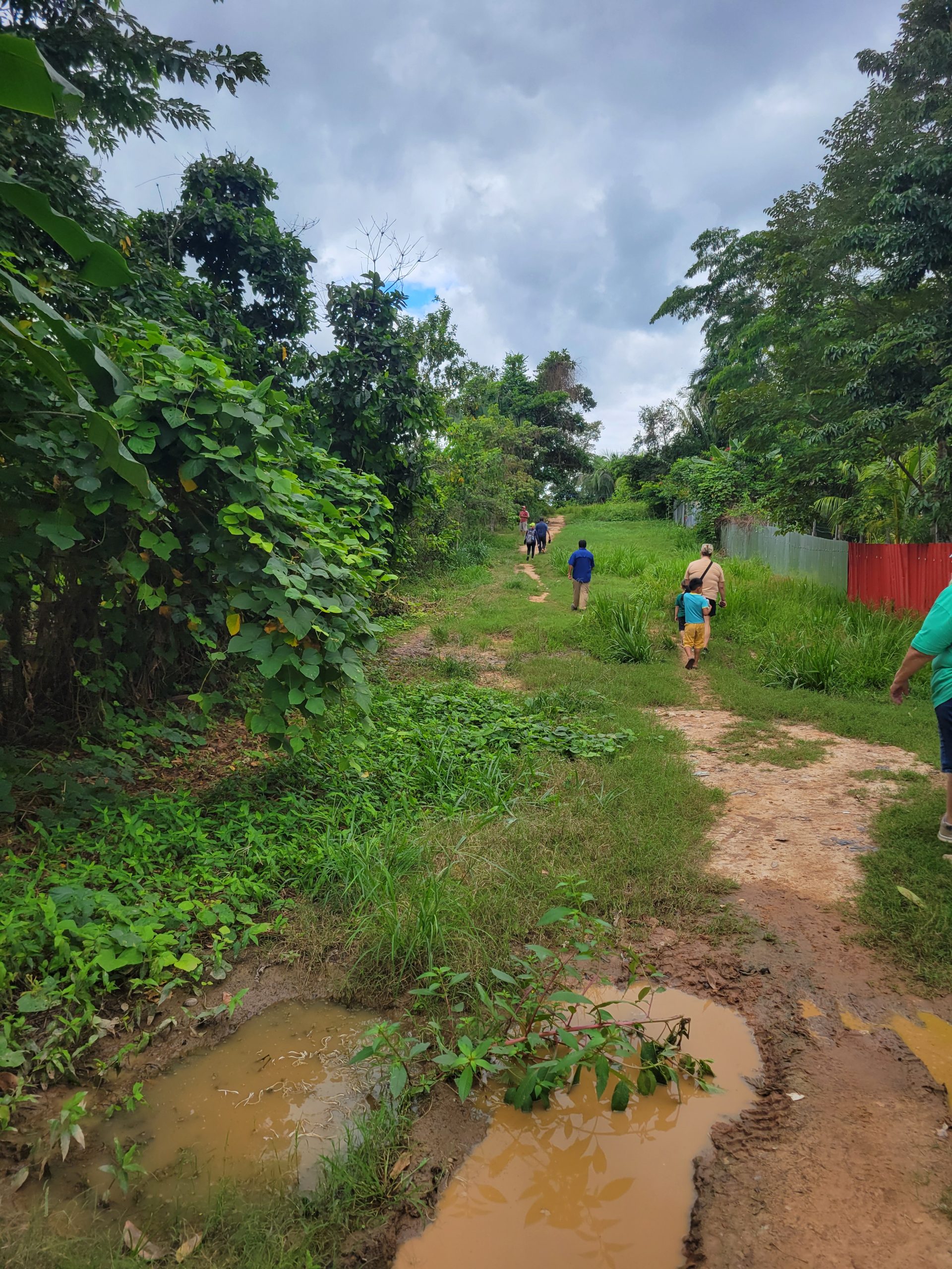 Jungle scenery as we walked to the next couple of visits. 
