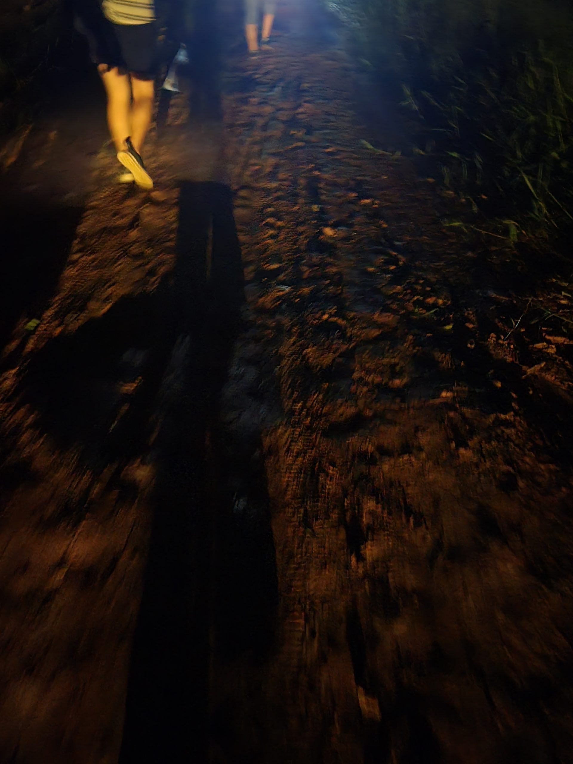 Walking to Walter's in the dark.