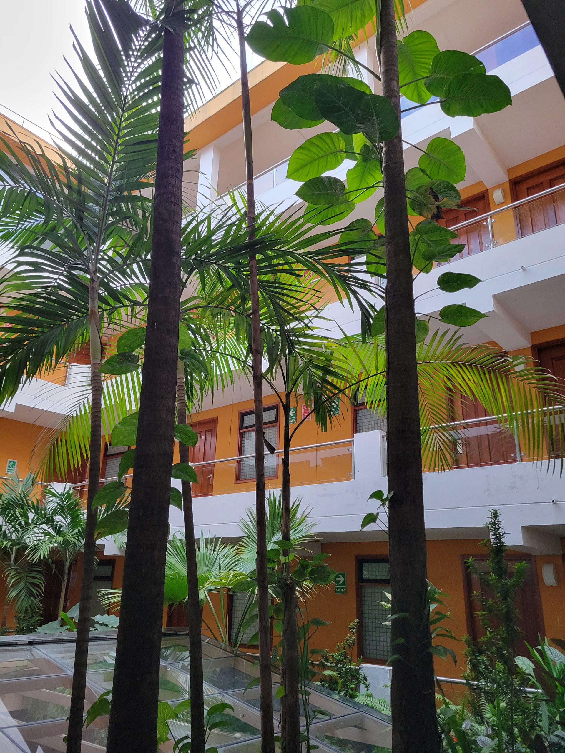 Atrium inside the hotel.